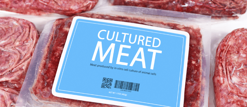 Bericht des Bundestages sieht großes Potenzial von kultiviertem Fleisch +++